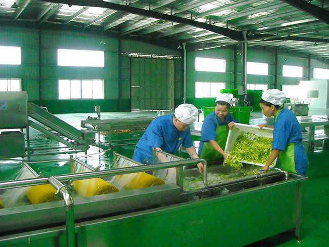 中央蜜桃视频黄色网設計