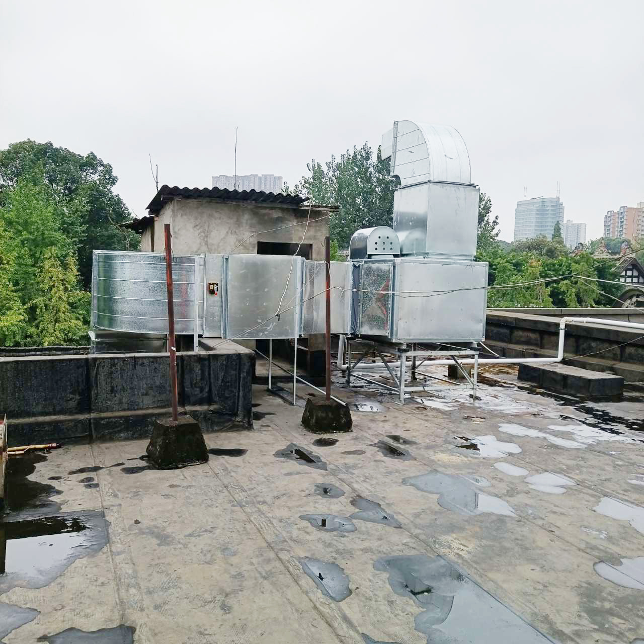 食堂蜜桃视频黄色网設備公司