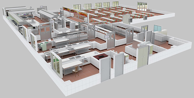 食堂蜜桃视频黄色网設計