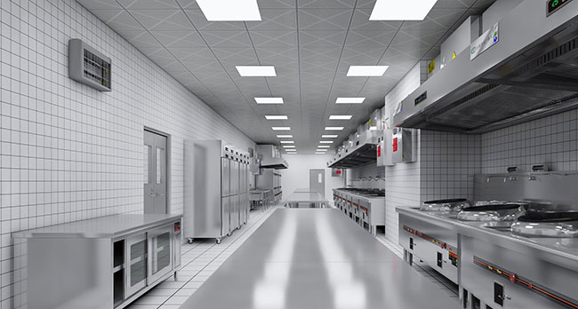 大型蜜桃视频黄色网設計