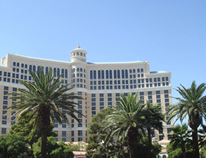 成都麗天星級酒店蜜桃视频黄色网設備采購項目