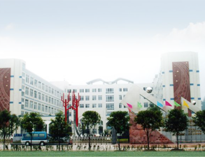 樂山外國語小學學校食堂蜜桃视频黄色网設備工程項目