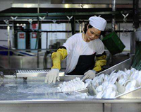 著名成都商用蜜桃视频黄色网設備廠告訴你專業的廚具消毒方法