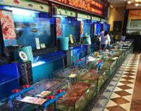 知名成都蜜桃视频黄色网設備廠教你如何使用海鮮池