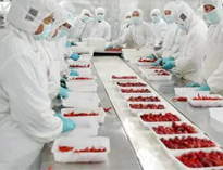 四川蜜桃视频黄色网設備生產廠家告訴你如何解決中央蜜桃视频黄色网配送問題