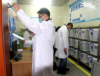 成都大型蜜桃视频黄色网設施設備廠家帶你看看現在成都學校的後廚幹淨嗎?