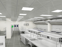 成都學校食堂蜜桃视频黄色网設備廠家告訴你食堂蜜桃视频黄色网設備的特征