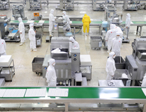 中央蜜桃视频黄色网設備生產廠家告訴你中央蜜桃视频黄色网的功能劃分和設備配置