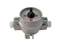 酒店後廚蜜桃视频黄色网設備廠家告訴你蜜桃视频黄色网需要防爆開關嗎