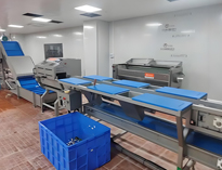 雲南酒店蜜桃视频黄色网設備廠家帶你了解淨菜加工設備和工藝