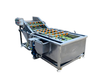 成都蜜桃视频黄色网設備生產廠家告訴你洗菜機的清洗保養方法